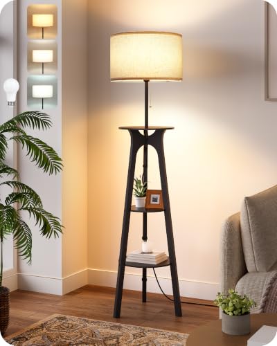 Floor Lamp for Living Room