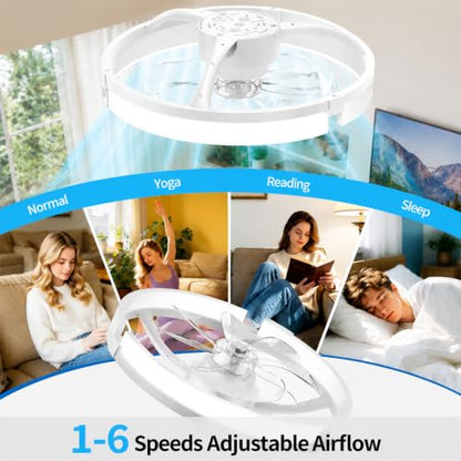 Ceiling Fans with Lights and Remote