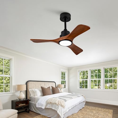 Ceiling Fan with Light