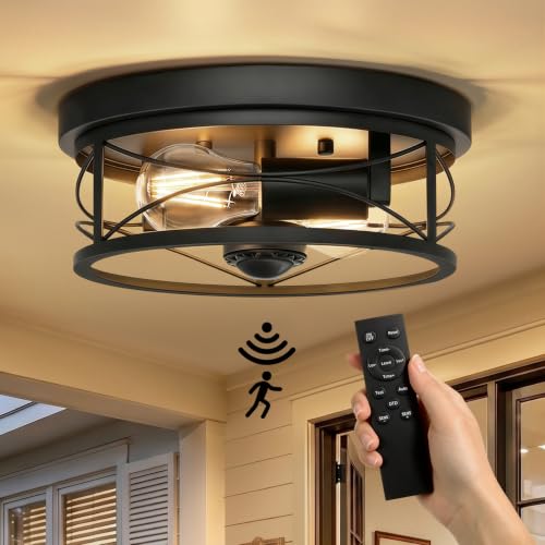 Semi Flush Mount Ceiling Light