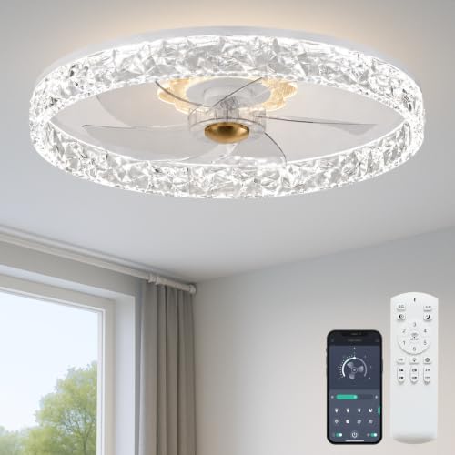 Ceiling Fan with Light and Remote