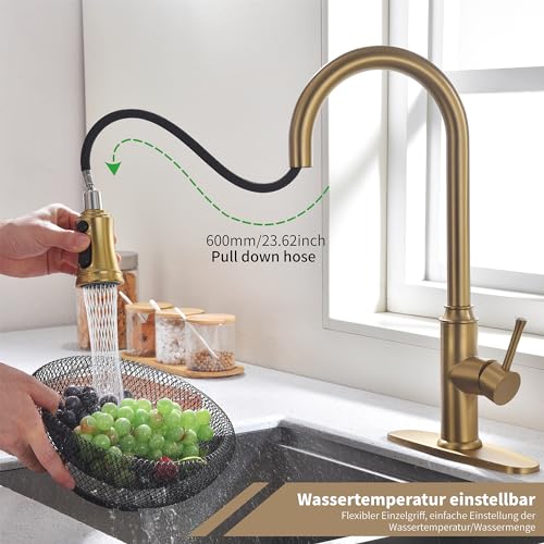 Kitchen Faucet with Pull Down Sprayer