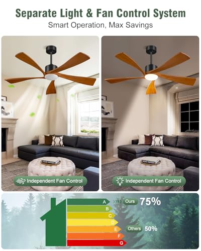 Smart Ceiling Fans with Lights