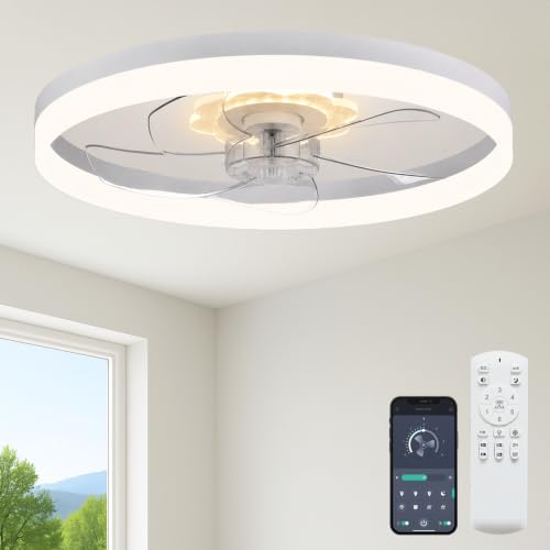 Ceiling Fan with Light and Remote