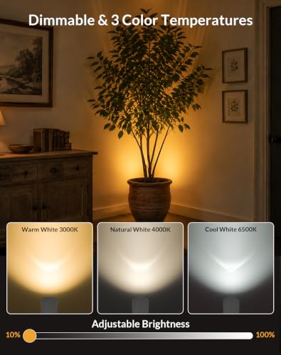 2 Pack Uplights Indoor Floor Can Lights