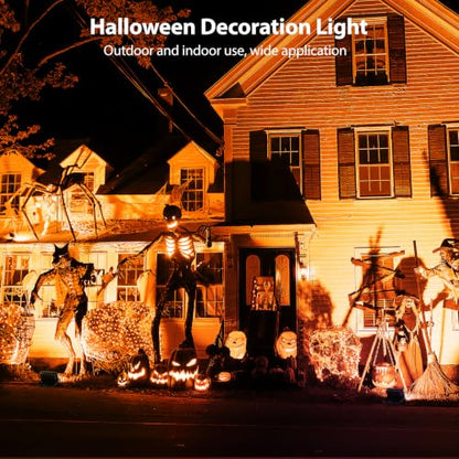 Halloween Flood Lights
