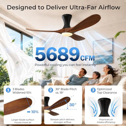 low profile ceiling fan with Light
