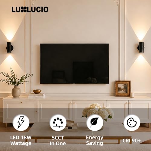 Indoor LED Wall Sconce Up and Down
