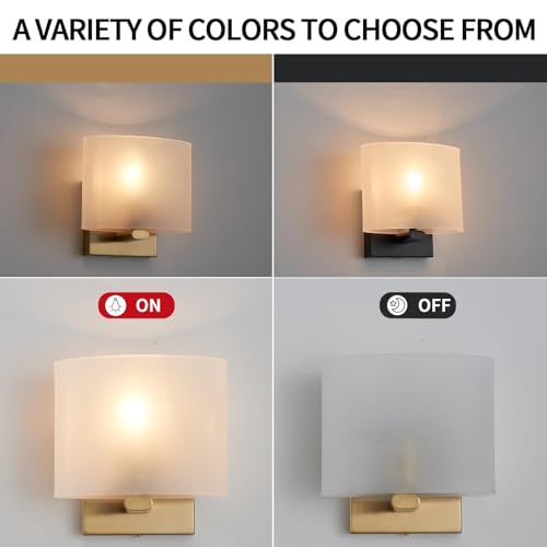 Modern Acrylic Shade Wall Light Fixture