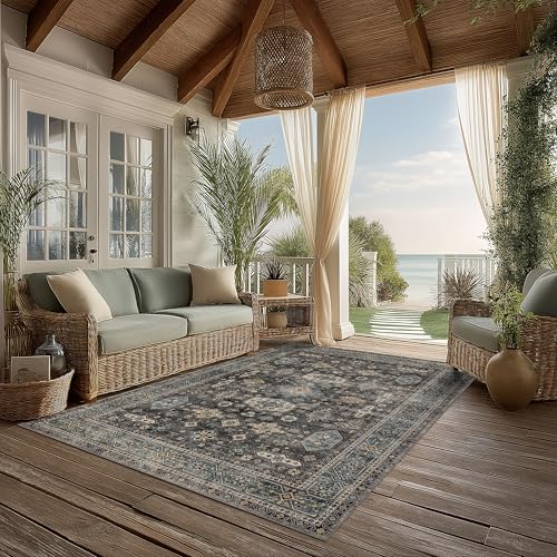 Washable Area Rug 4×6 for Living Room (Silver / 4' x 6' (Rectangular))
