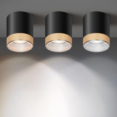 Ceiling Light Fixtures for Hallway Kitchen Entryway