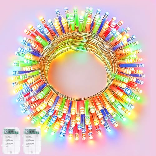 Clear Wire LED String Lights Indoor Christmas Lights Battery Powered