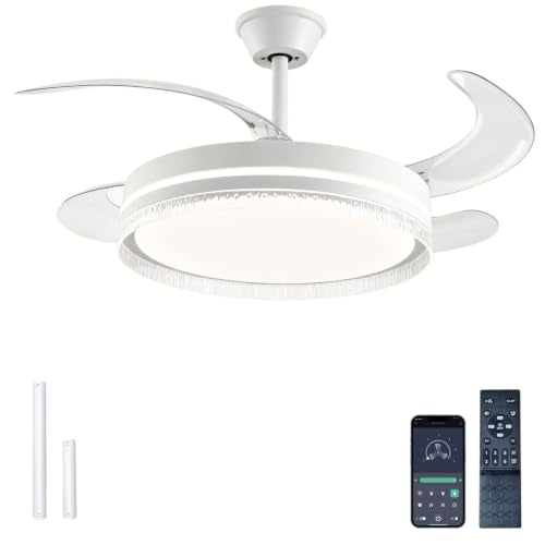 Ceiling Fans with Lights