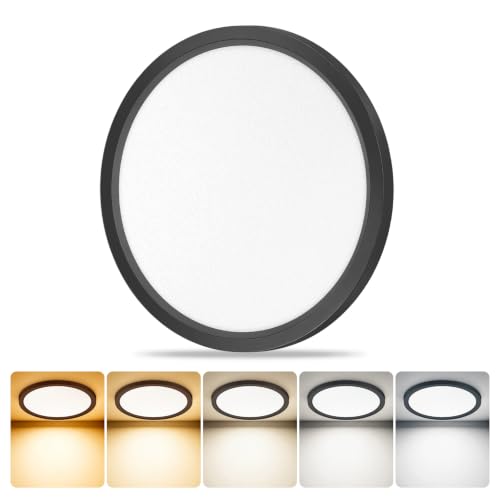 LED Flush Mount Ceiling Light Thin Color Adjustable Wired
