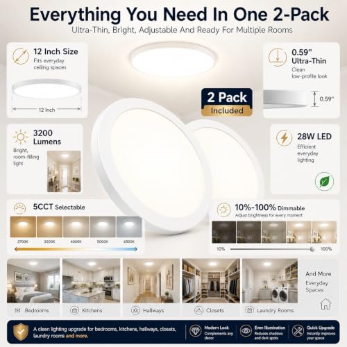 Ceiling Lights