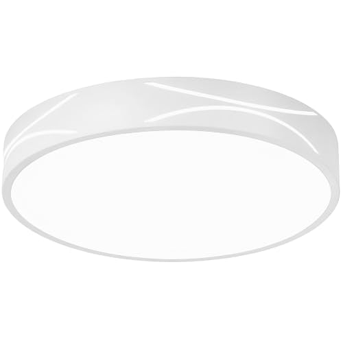 Modern Flush Mount Ceiling Light Fixture