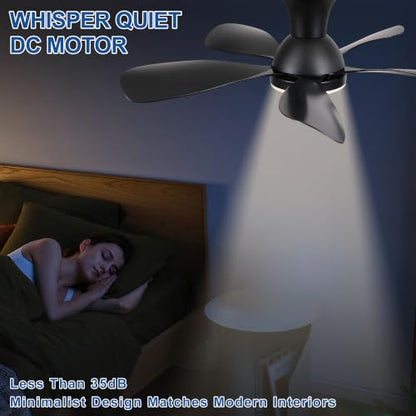Ceiling Fan for Bedroom