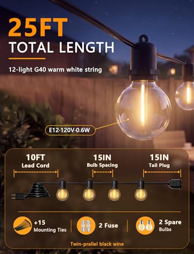 S3 LED Outdoor String Lights with Bulbs