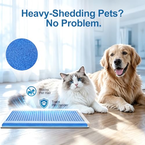 Premium Cut to