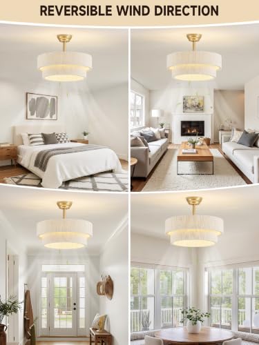 Ceiling Fans with Lights