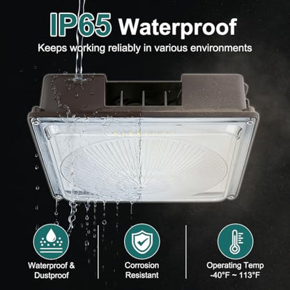 60W LED Canopy Light