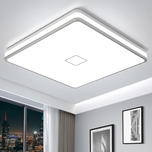 LED Ceiling Light