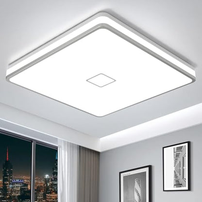 LED Ceiling Light