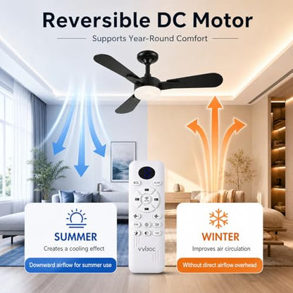 Ceiling Fans with Lights