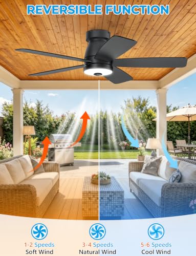 Outdoor Ceiling Fans