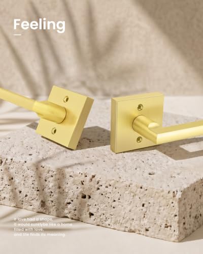 Square Interior Door Handles