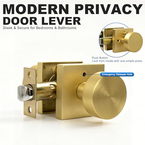 Interior Privacy Door Knob (Matte Gold)