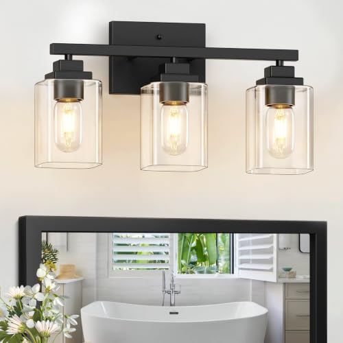 Vanity Lighting Fixture with Shade