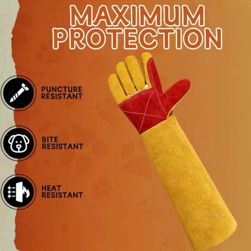 Scratch Resistant Gloves for Bathing