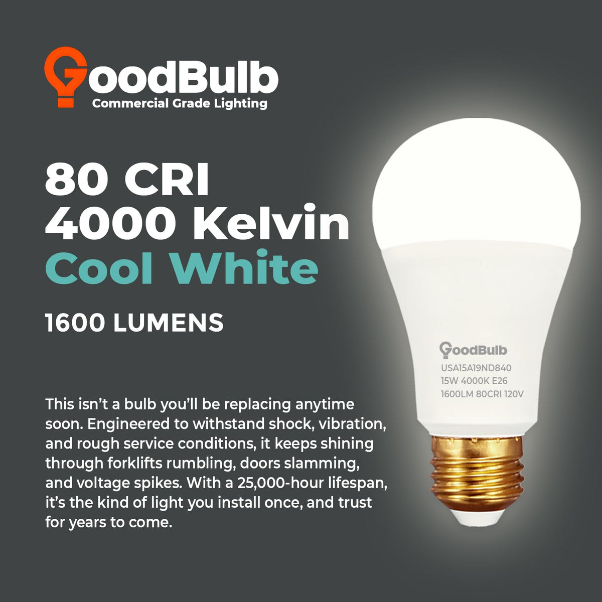 Made in USA A19 LED Light Bulbs (Cool White)