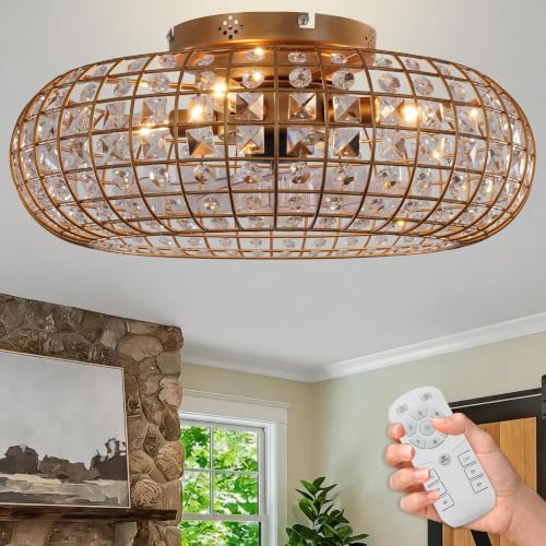 Ceiling Fan with Light