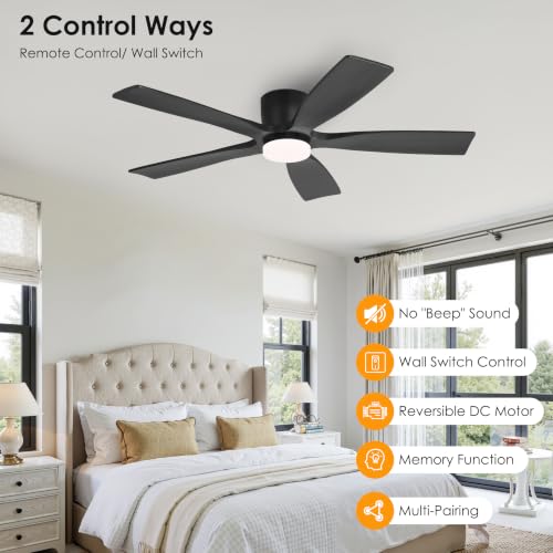 Ceiling Fan with Lights