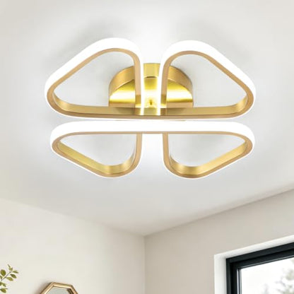 Modern LED Ceiling Light