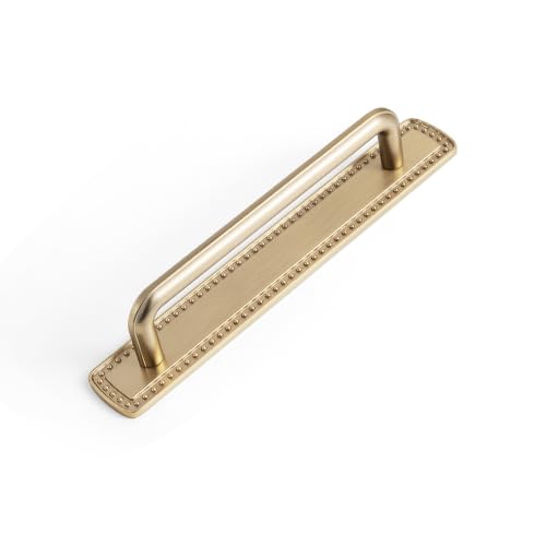 2 Pack Cabinet Pulls with Backplate 2510