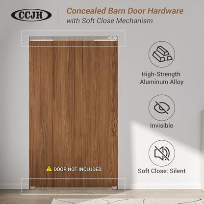 Concealed Sliding Barn Door Hardware with Soft Close Mechanism