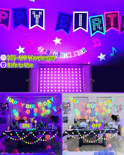 Black Light Floodlight