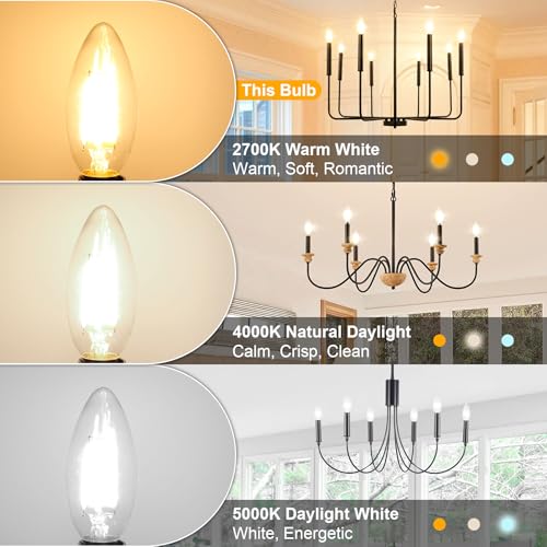 E12 Candelabra LED Bulbs Dimmable
