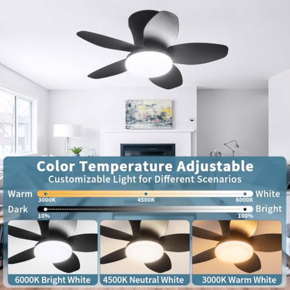 Small Ceiling Fan with Lights