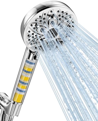 Filtered Shower Head with Handheld