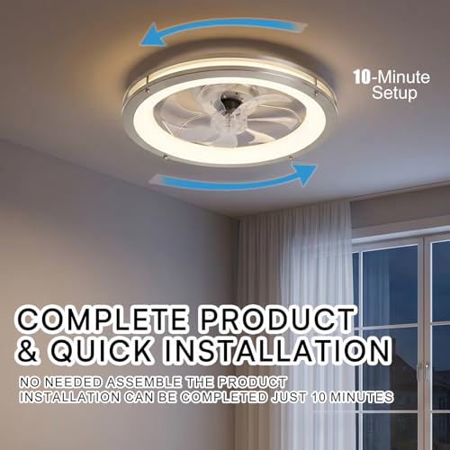 Ceiling Fans with Lights