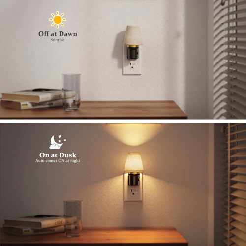 Night Lights Plug into Wall