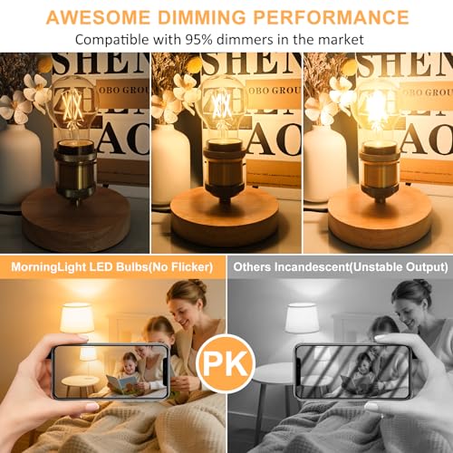 Vintage LED Edison Light Bulbs 60 Watt