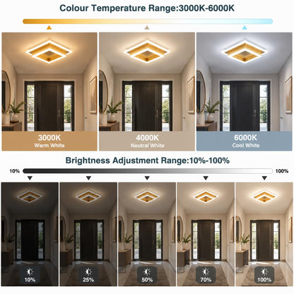 Modern LED Ceiling Light (Gold / 10.62 Inches)