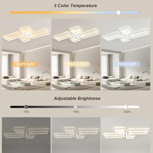 Modern Ceiling Light