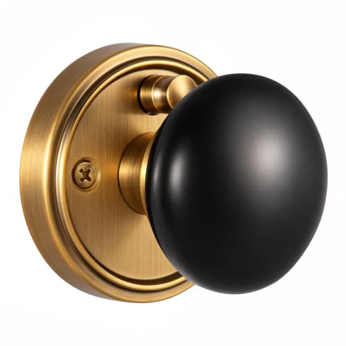 Porcelain Privacy Door Knob with Antique Brass Finish Base TC