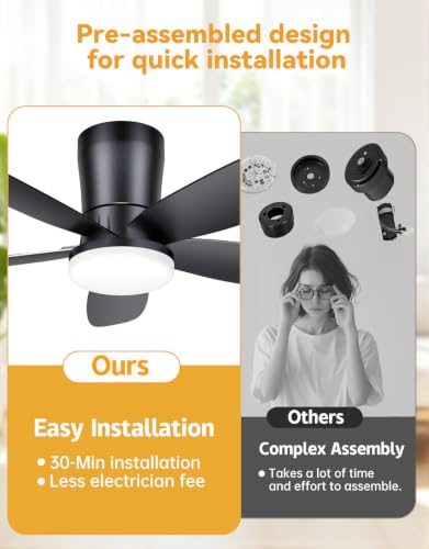 Ceiling Fans with Lights